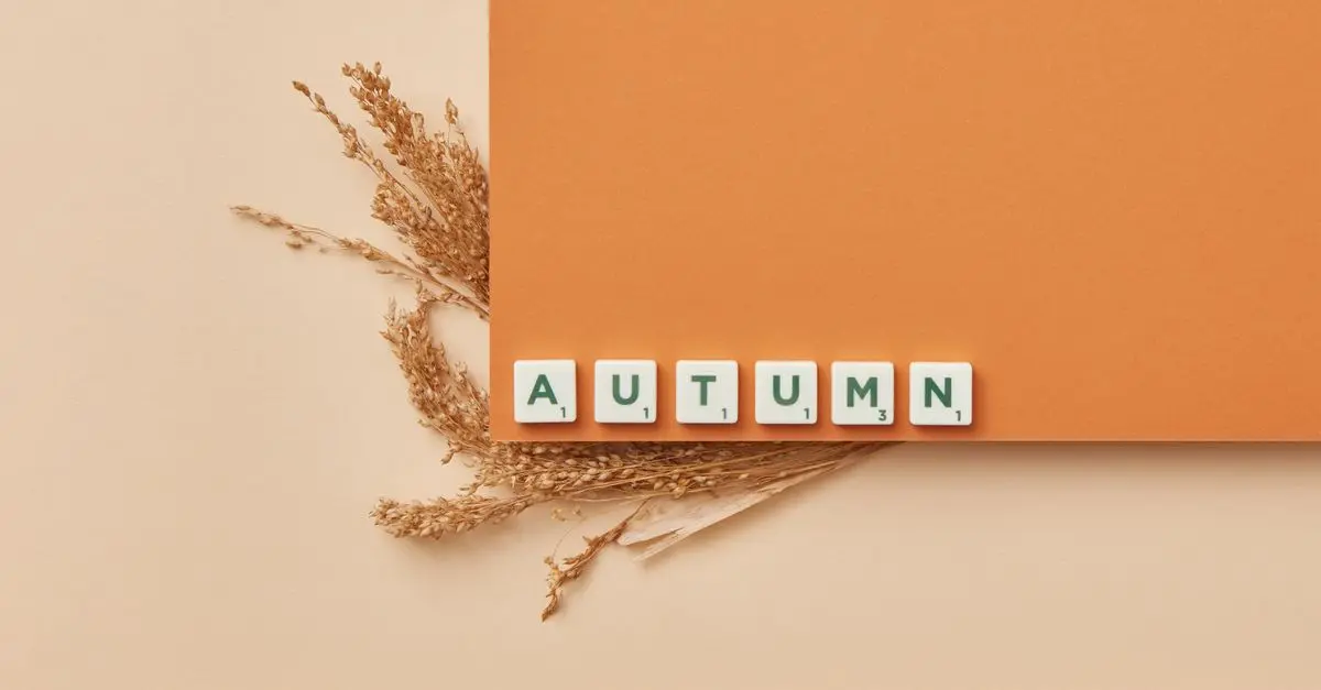 Les Must-Have à Ne Pas Manquer en Soldes Automne