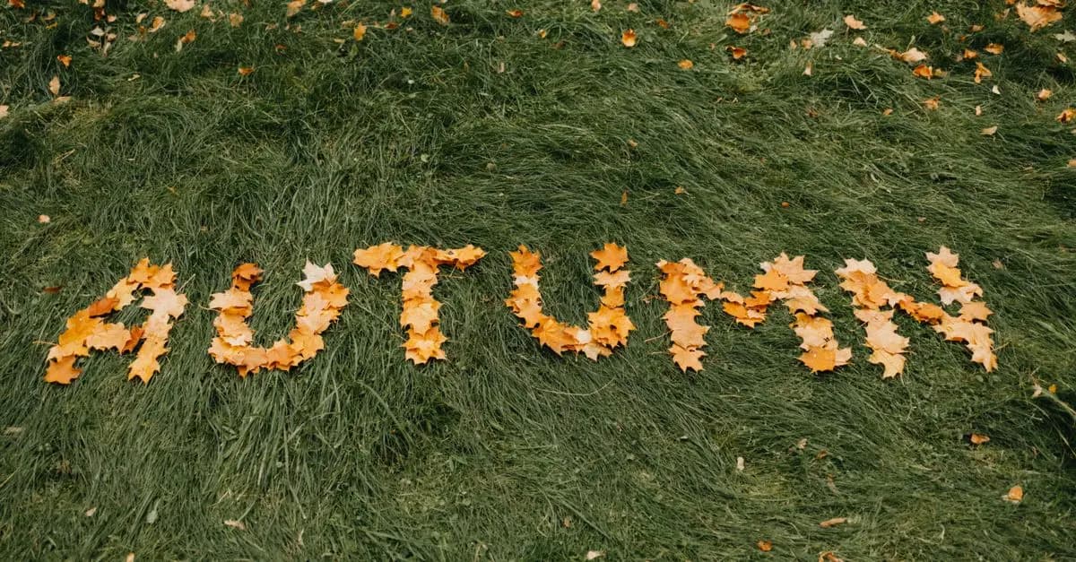 Tendances Environnementales des Soldes Automne 2026
