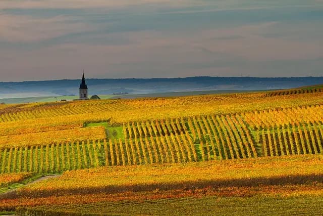 Comment Bien S'informer sur les Soldes Automne : Guide 2026