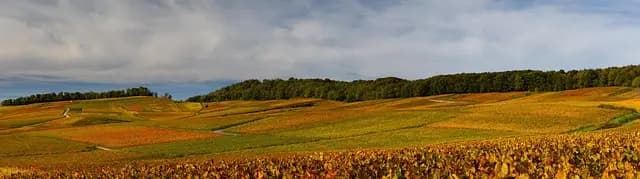 Maximisez vos Économies avec les Soldes Automne