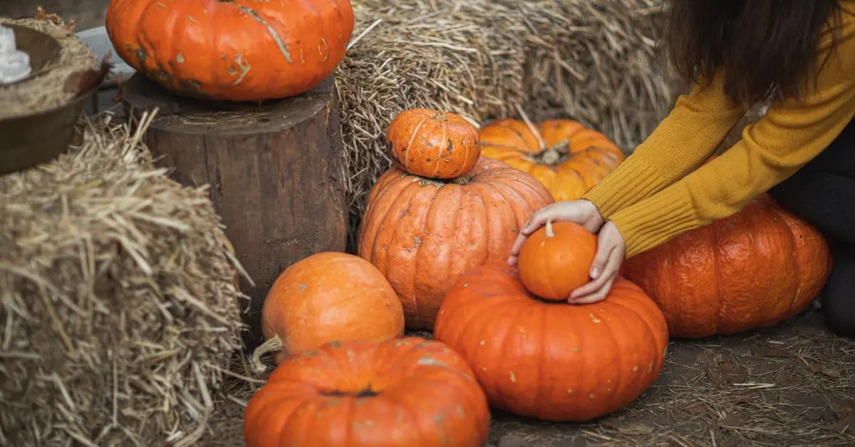 Les Astuces pour Cumuler Réductions et Soldes Automne