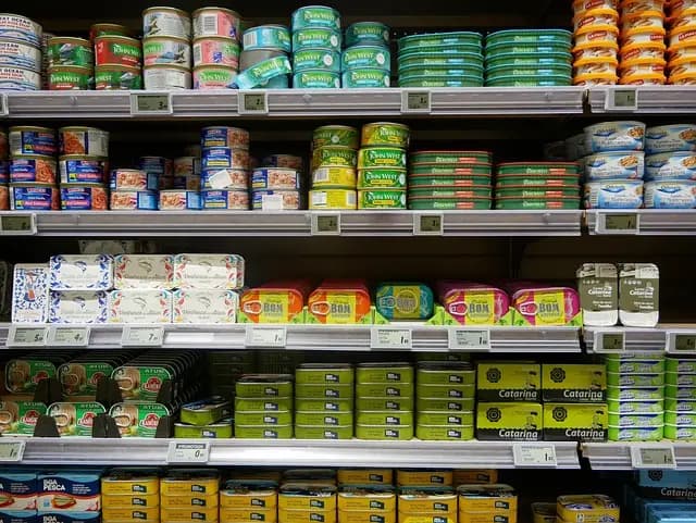 Les Tendances à Surveiller pour les Soldes Automne 2026