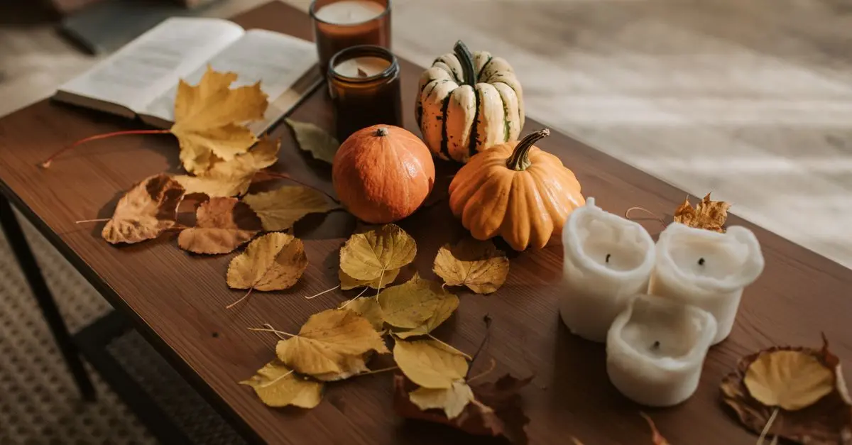 Les Meilleurs Accessoires de Maison en Soldes pour l'Automne