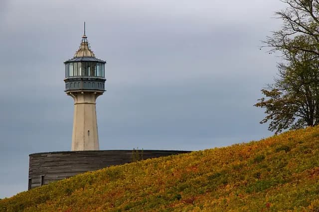 Les Tendances à Surveiller pour les Soldes Automne 2026